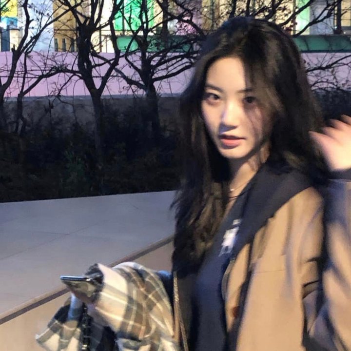 情来.算尽爱